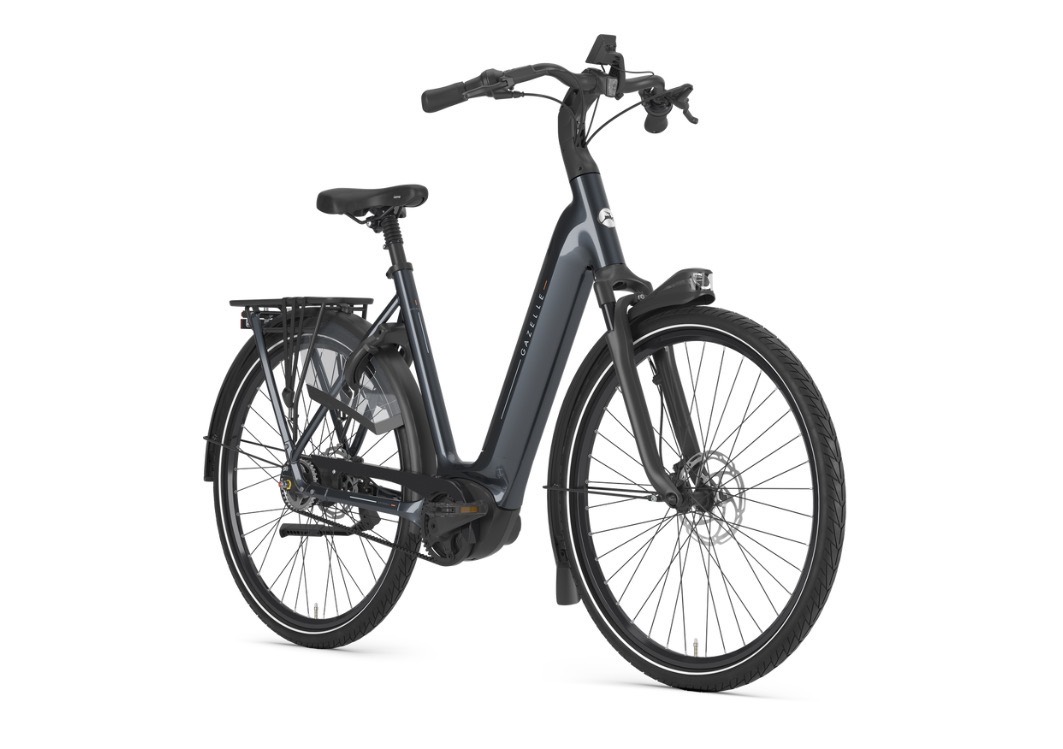 Gazelle Grenoble C5: Ansicht schräg von vorne