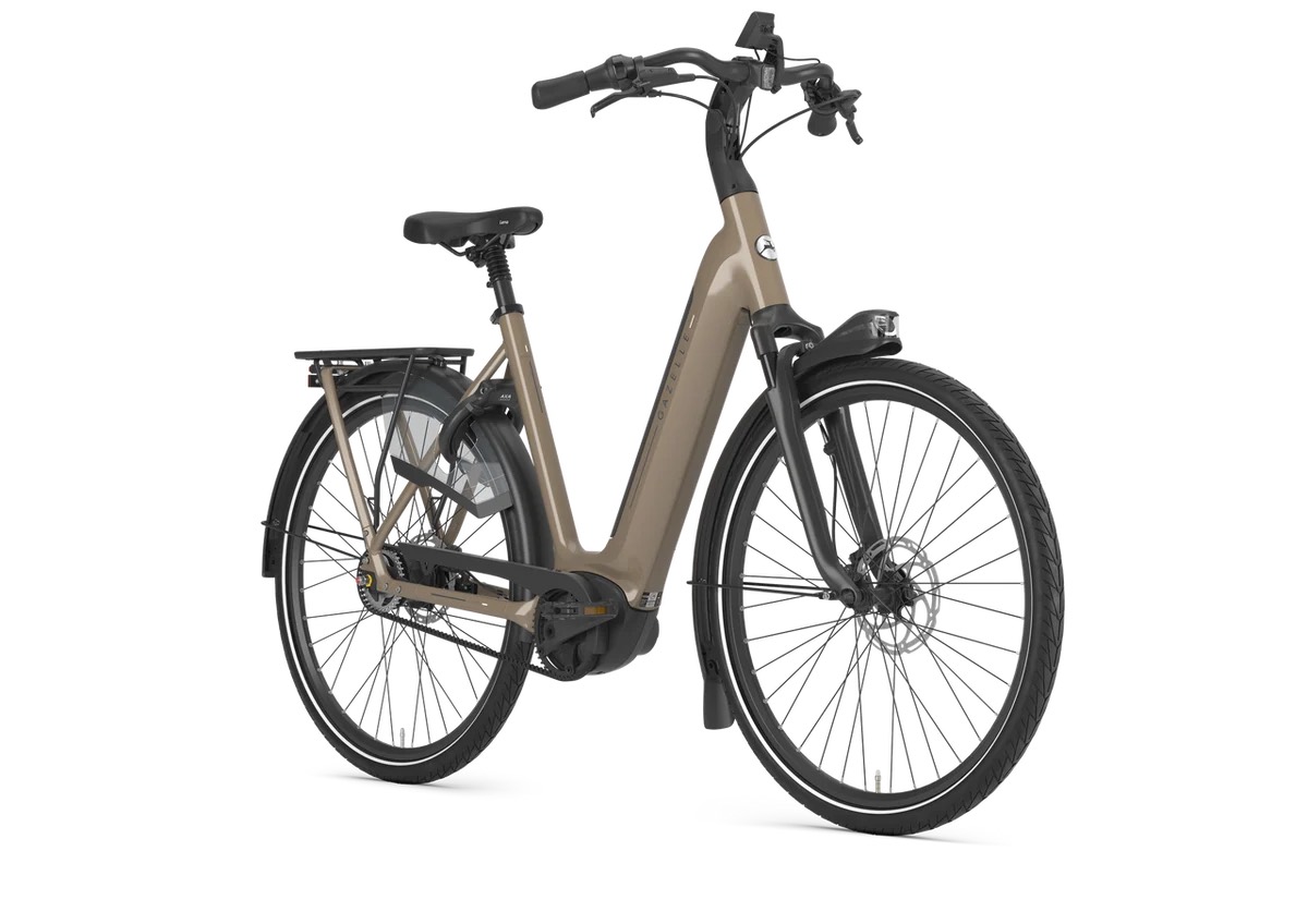 Gazelle Arroyo C5 Elite: Ansicht schräg von vorne