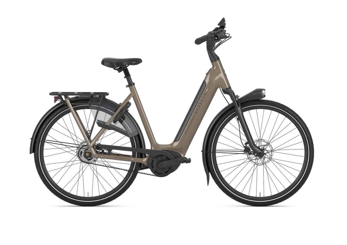Gazelle Arroyo C5 Elite, Seitenansicht