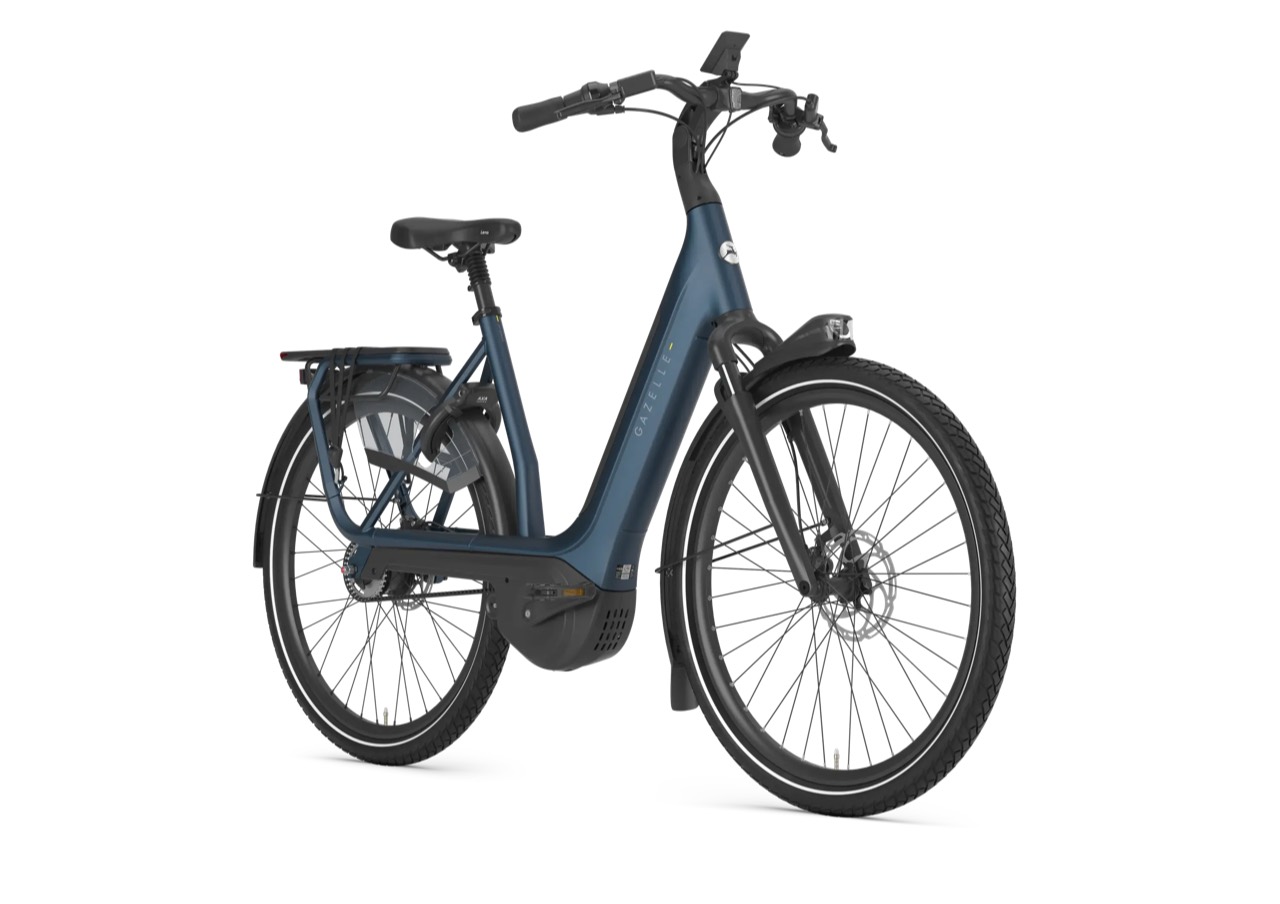 Gazelle Avignon C5: Ansicht schräg von vorne