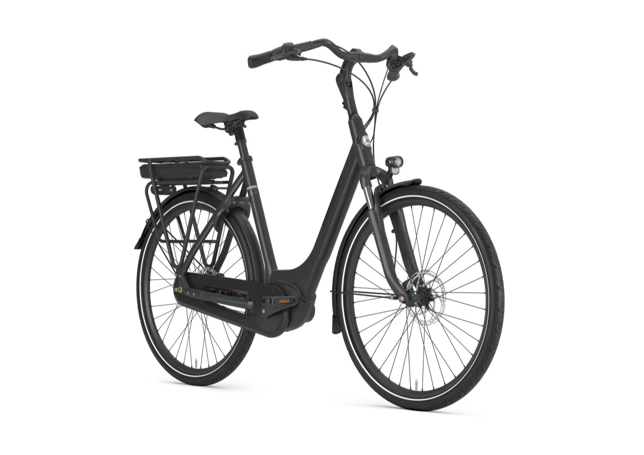 Gazelle Paris C8: Ansicht schräg von vorne